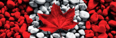 drapeau canadien cailloux